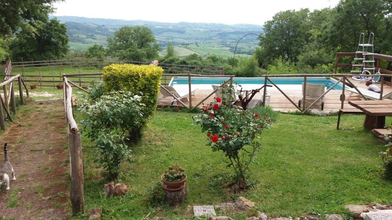 Agriturismo Castellum Aquarum Manciano Exteriér fotografie